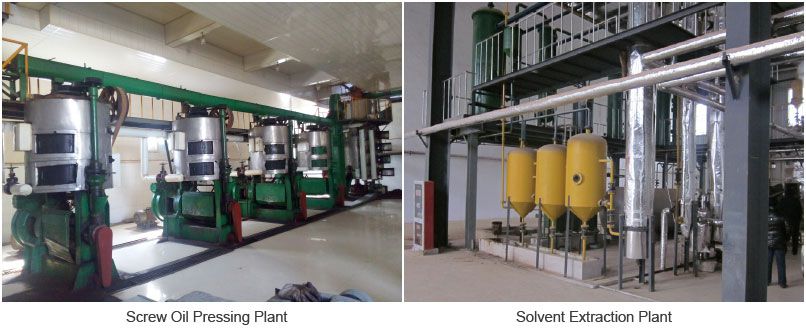 corn oil extraction plant for automatic edible and cooking oil mill