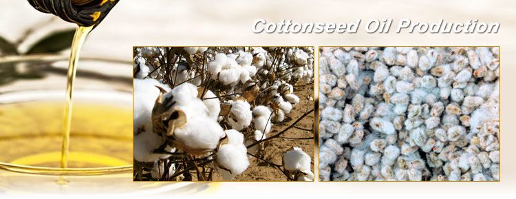 cottonseed oil production business plan