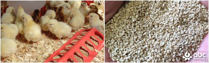 crumble feed for chicks