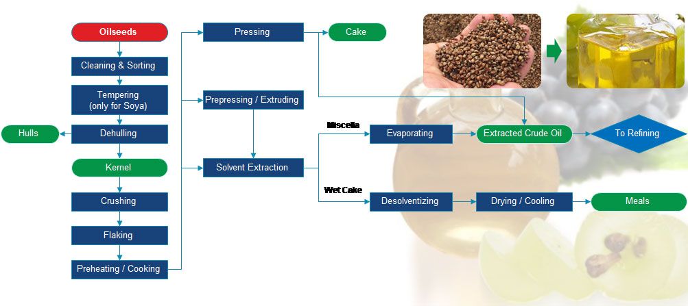 Planning To Buy Grape Seed Oil Extraction Equipment To Start Oil Making 