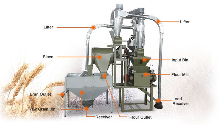 grain grinder machine for making flour from various cereal and beans