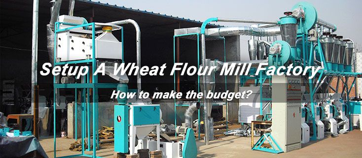 cost budget to setup wheat flour mill factory