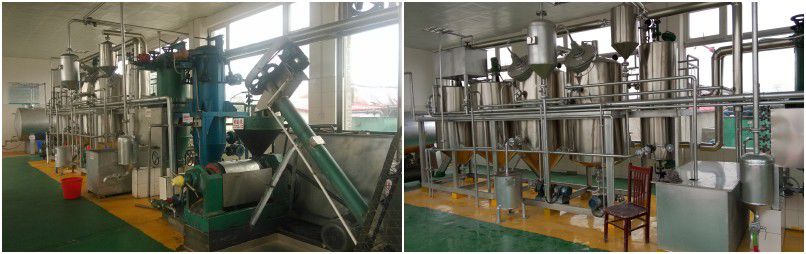 small scale edible oil refining plant for palm kernel oil, pumpkin seed oil and peanut oil
