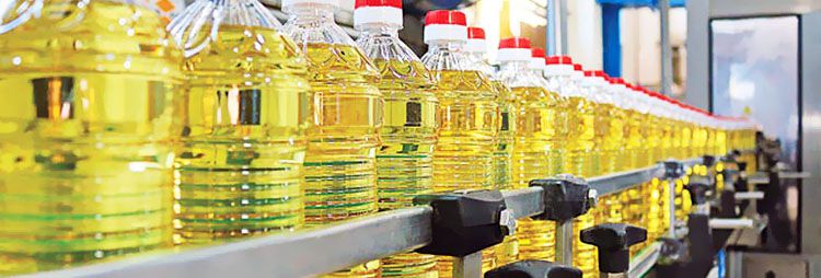 cooking oil production business plan