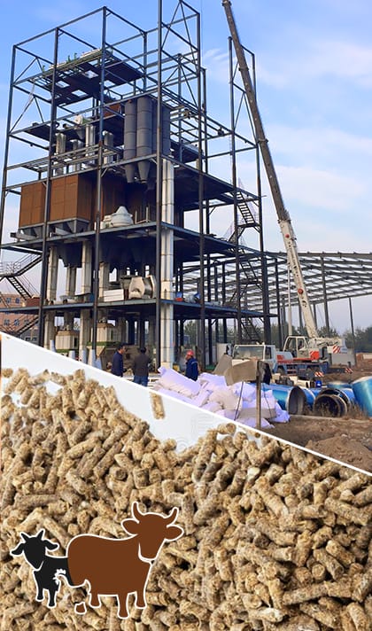 animal feed pellet plant setup