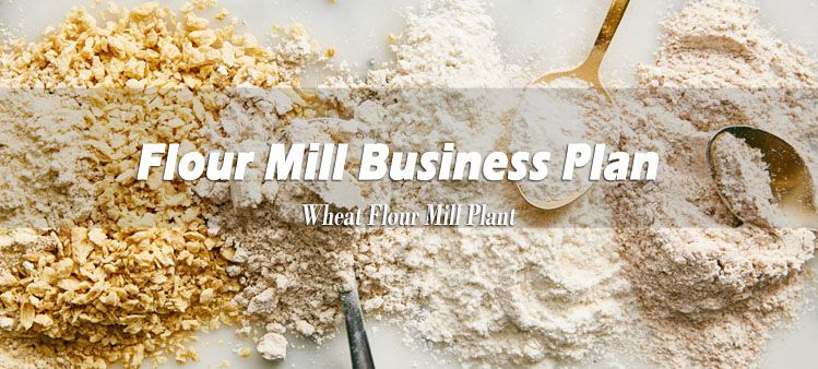 wheat flour mill business plan in india