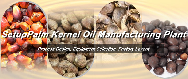 Palm Kernel Oil 