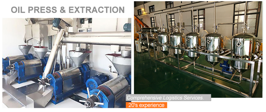 Coconut Oil Extractor Oil Cold Press Sunflower Oil Extraction